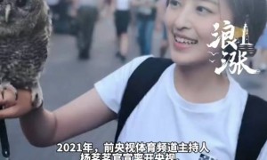 前央视主持人杨茗茗离职后自曝后悔：没料到人心如此凉薄
